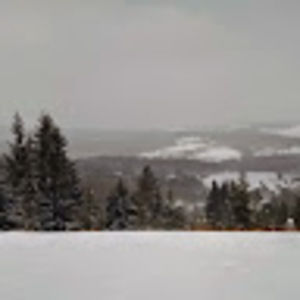 Meet your Posher, Fred